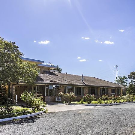 Allonville Gardens Motel Wagga Wagga Exteriér fotografie