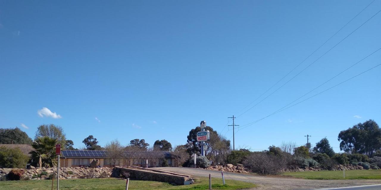 Allonville Gardens Motel Wagga Wagga Exteriér fotografie