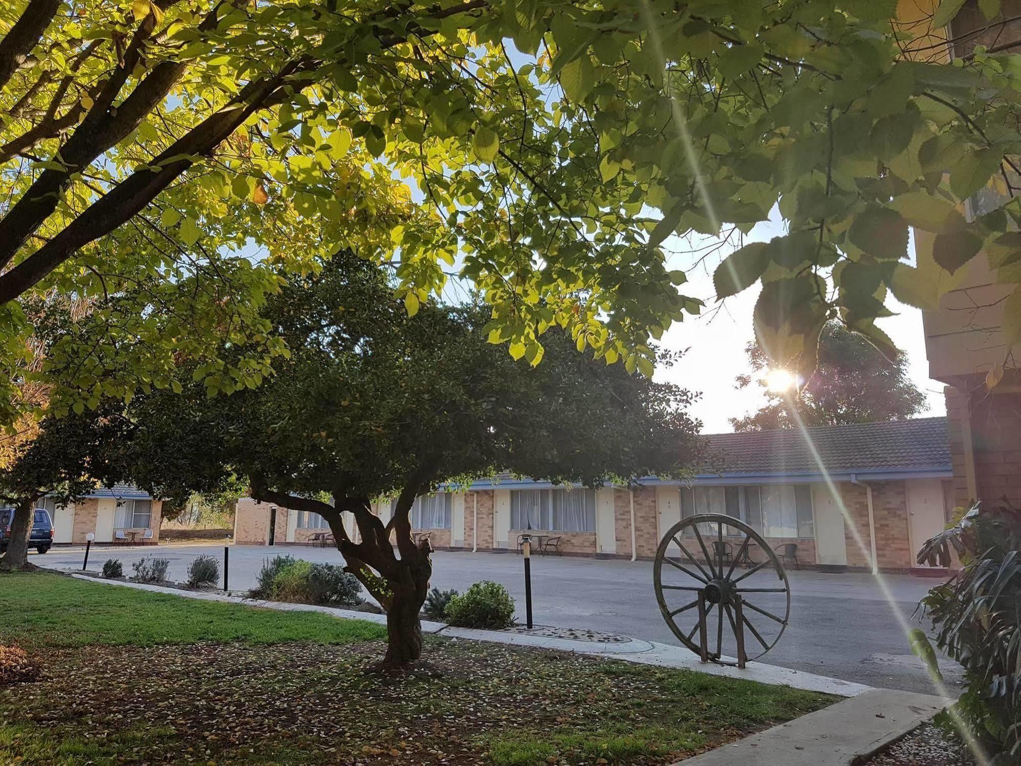 Allonville Gardens Motel Wagga Wagga Exteriér fotografie