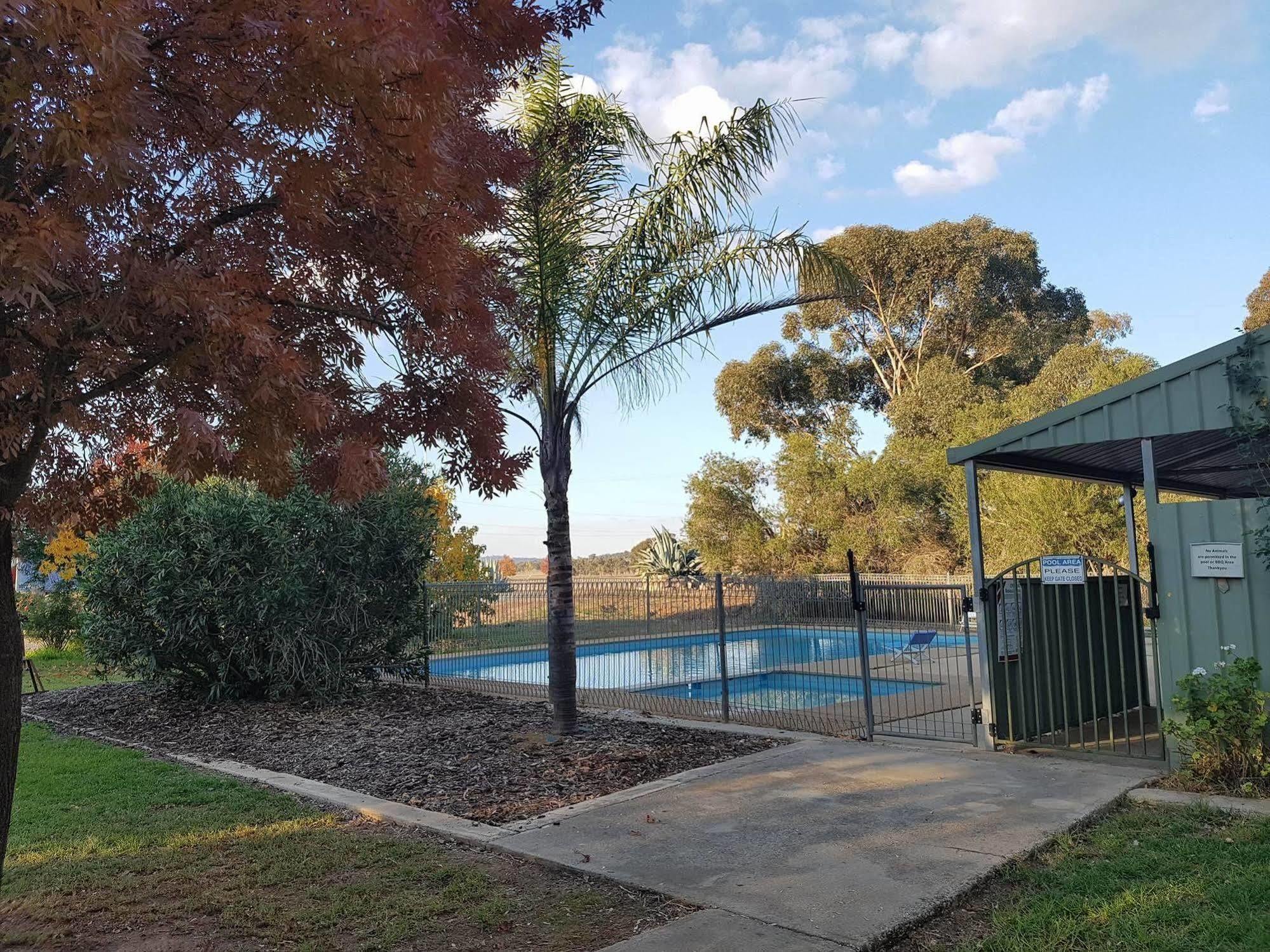Allonville Gardens Motel Wagga Wagga Exteriér fotografie